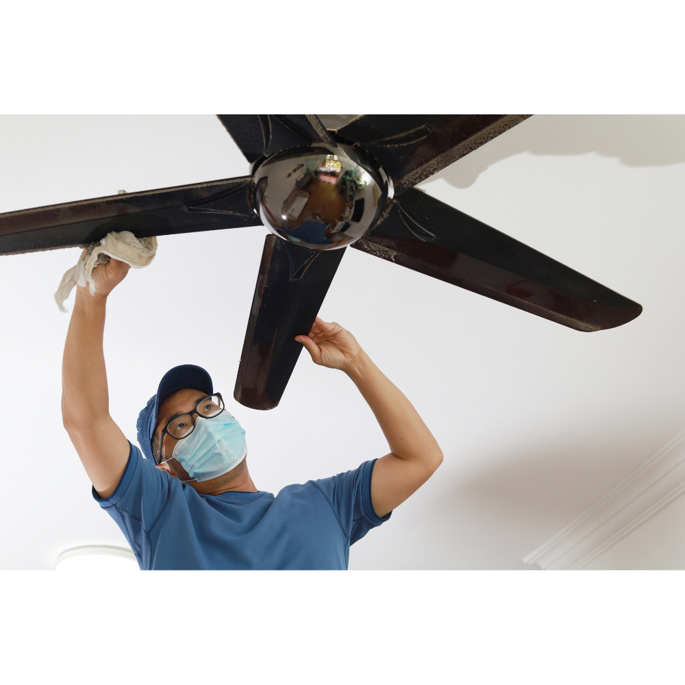 Ceiling Fan Replacement Melbourne
